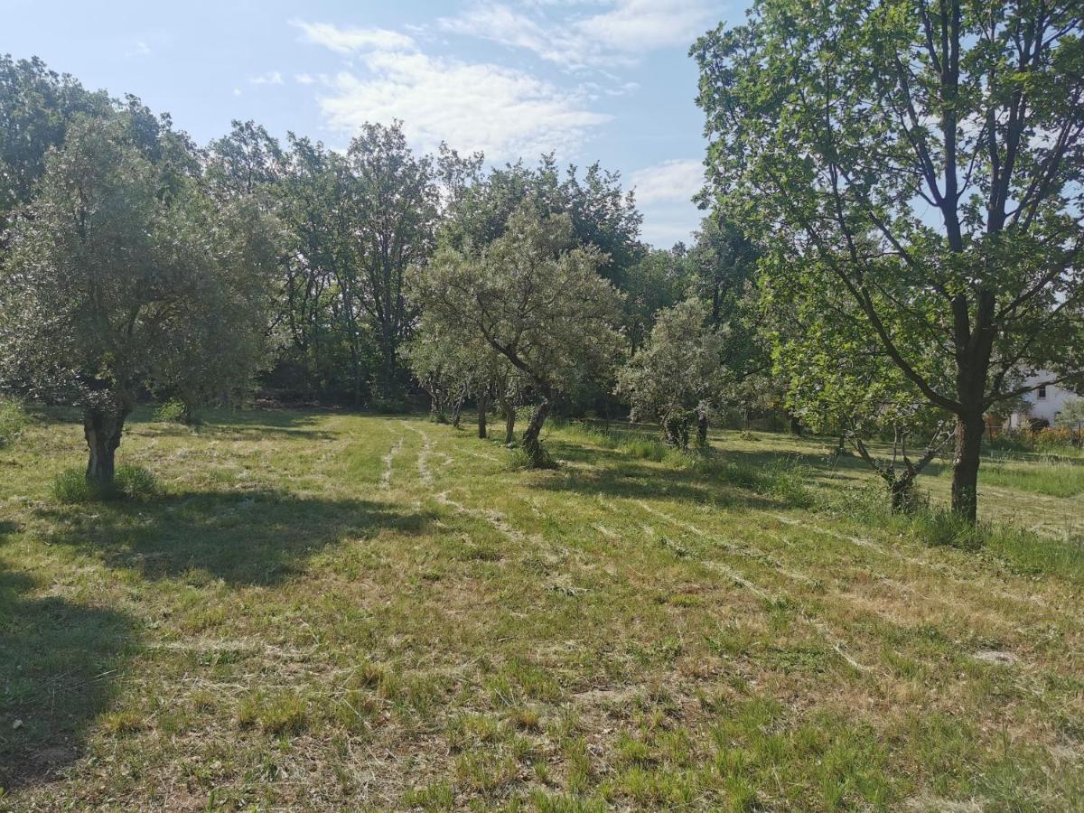 Domaine Geodora, Parfumeur En Provence Villa Montauroux Eksteriør billede