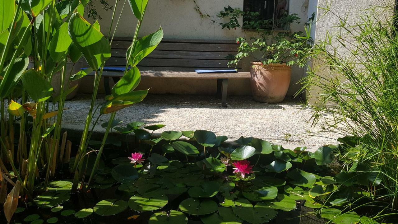 Domaine Geodora, Parfumeur En Provence Villa Montauroux Eksteriør billede